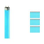 Confezione Multipack 25x Philips MASTER TL-D 36W - Blu | 120cm